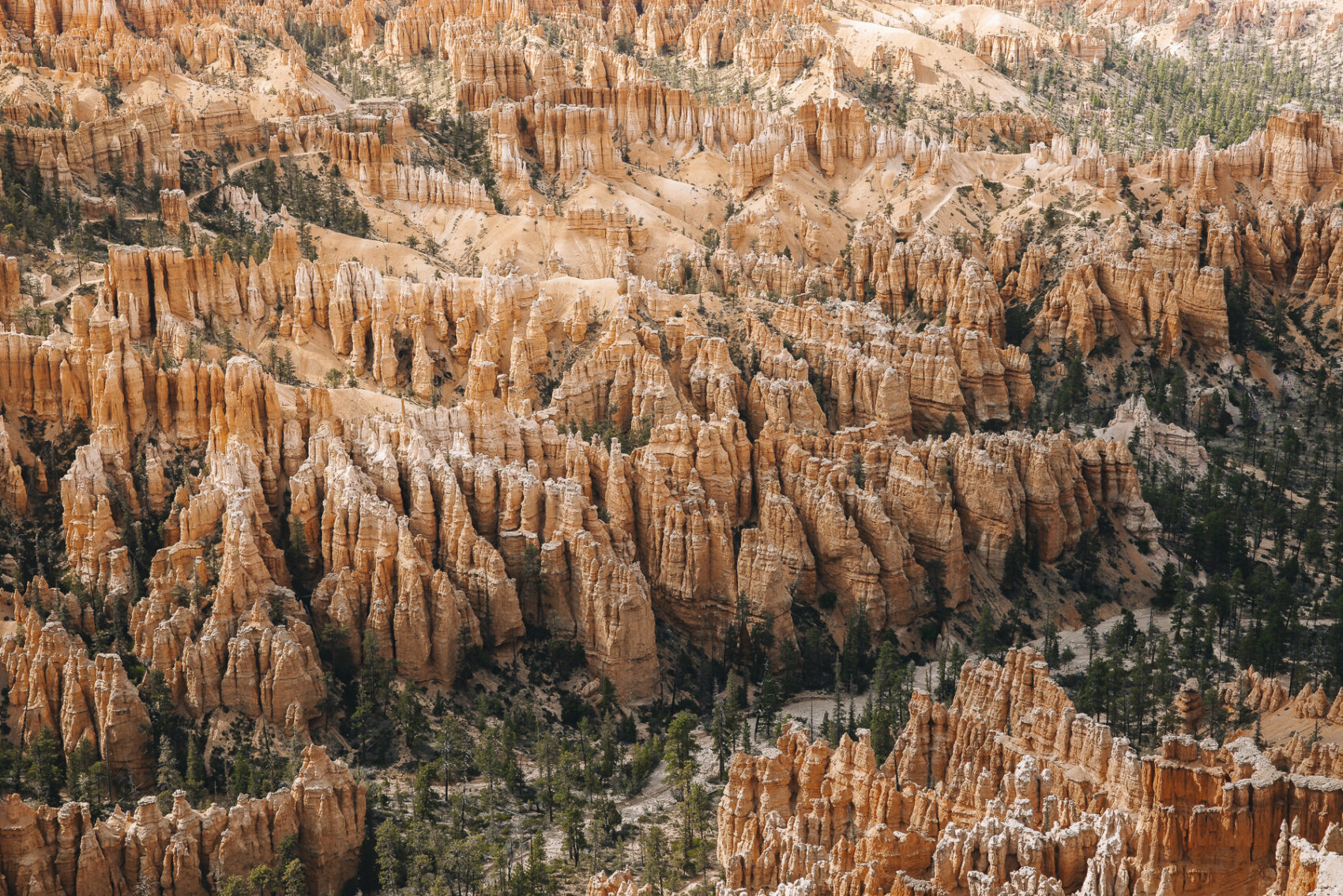 Bryce Canyon during an American West road trip