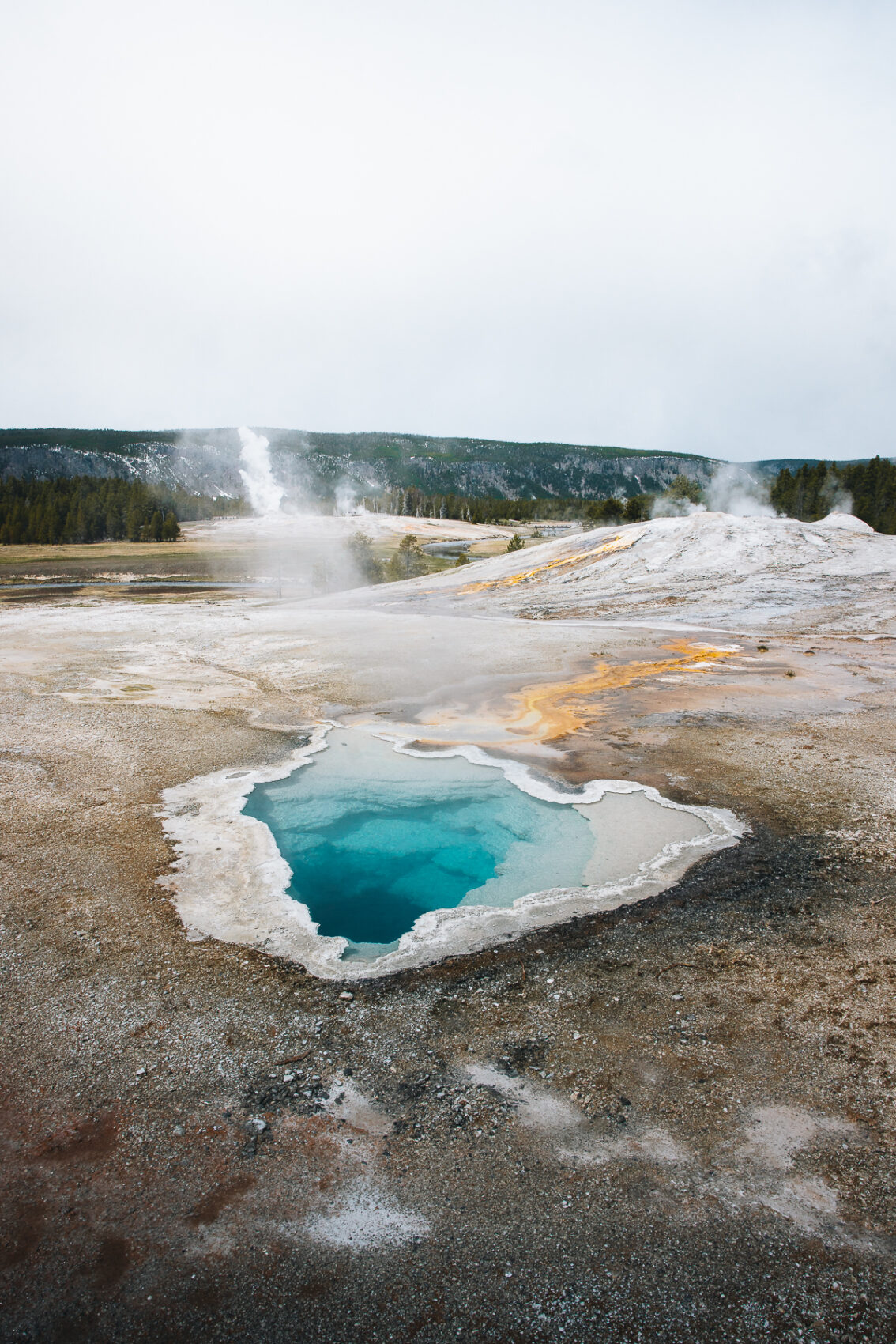 Yellowstone National Park during an American West road trip