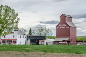 Road trip en el oeste del Canadá: Rutas y lugares inolvidables - 🦖 Drumheller y el Parque Provincial Dinosaur